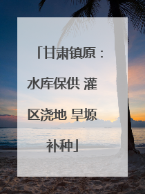 甘肃镇原：水库保供 灌区浇地 旱塬补种